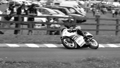 _SP17638 small b&w.jpg