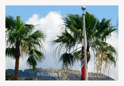 Hollywood Sign 2