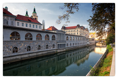 Ljubljana Central Market 4