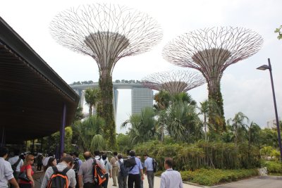 Gardens by the Bay