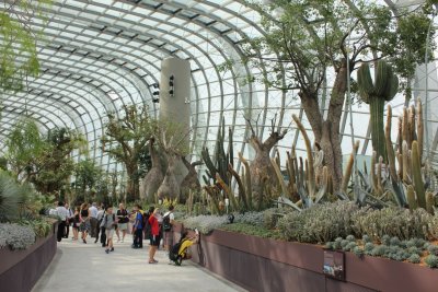 Gardens by the Bay