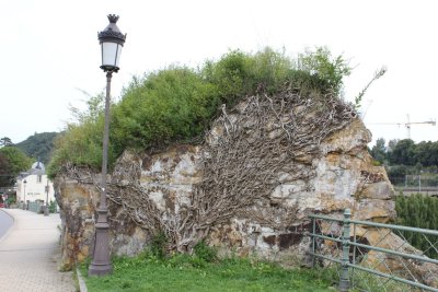 g9/60/151060/3/156881641.6JDRIkbI.jpg