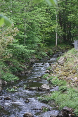 The stream