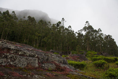 Nuwara Eliya
