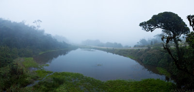 Enter to Horton Plains