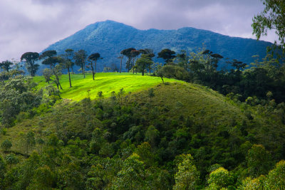 View from Train. Nuwara Eliya to Ella