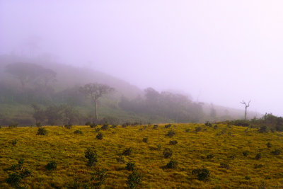 Horton Plains