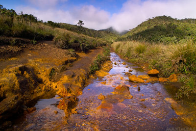 Horton Plains