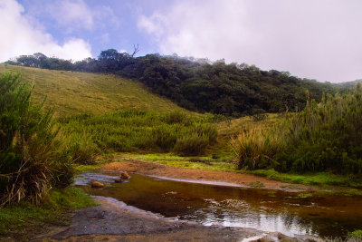 Horton Plains