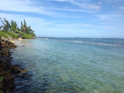 View of our private reef protected beach.jpg