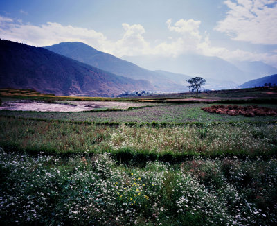 bhutan_bhutan