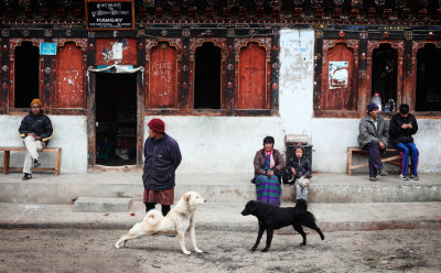 bhutan-102.jpg