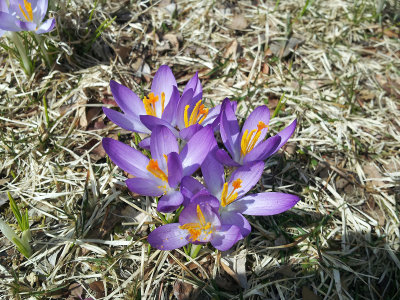 RS-20130330_151033.jpg
