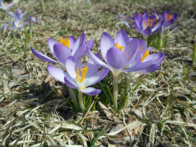 RS-20130330_151207.jpg
