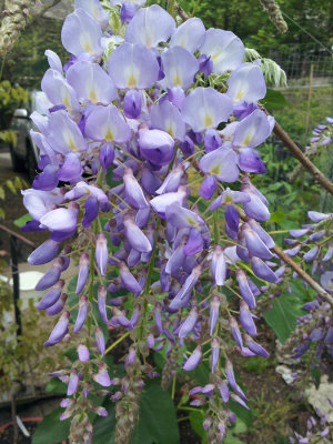 RS-20130509_115422.jpg