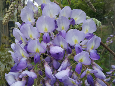 RS-20130509_115647.jpg