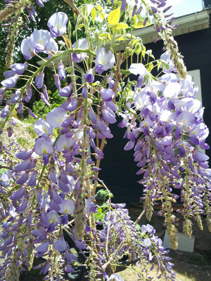 RS-20130509_134348.jpg
