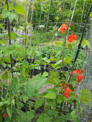 RS-20130518_144446.jpg