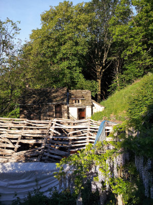 20130612_070616.jpg