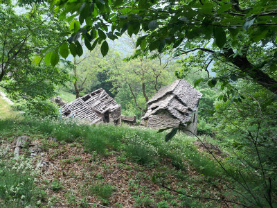 20130615_081525.jpg