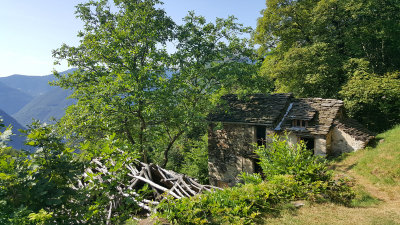 20160725_094453.jpg