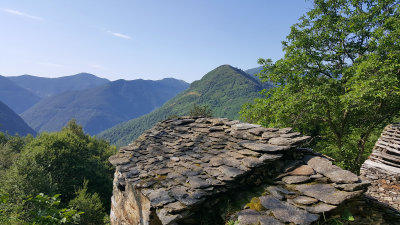 20160725_094644.jpg