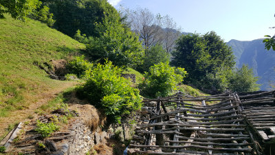 20160725_094955.jpg