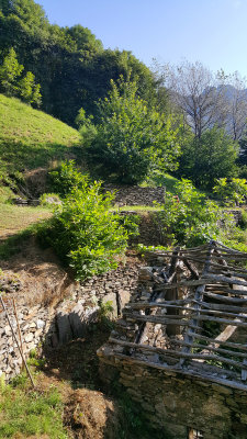 20160726_084944.jpg
