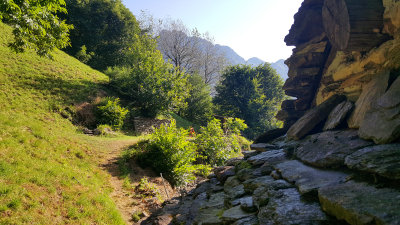 20160726_085155.jpg