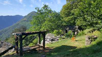 20160726_090313.jpg