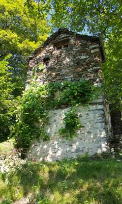 20160726_103311.jpg