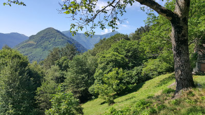 20160726_103634.jpg