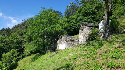 20160726_103721.jpg