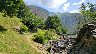 20160726_122050.jpg