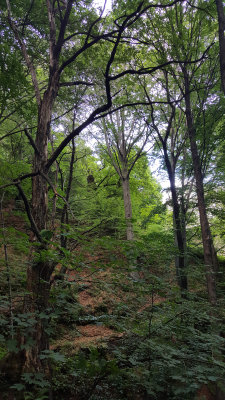 20160726_164844.jpg
