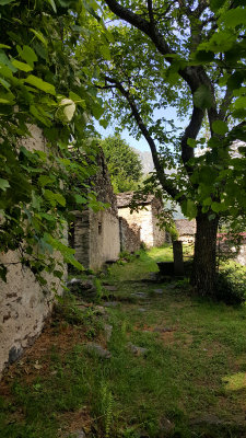 20160726_165348.jpg