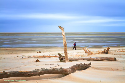 Baie d'Authie