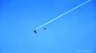Chemtrail