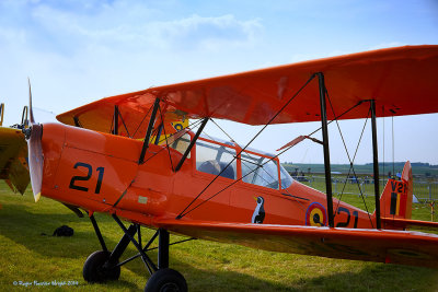 Stampe V21