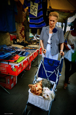 La Dame aux chiens