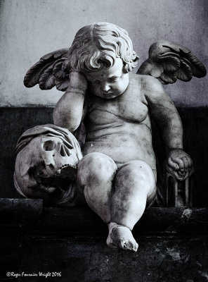 Amiens Weeping Angel