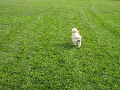 Camouflage. Can you see me??