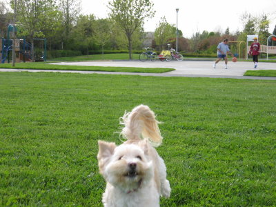 Running like the wind
