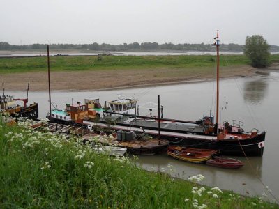 03_leeuwentocht-2014.jpg