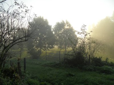 15_leerdam40km.jpg