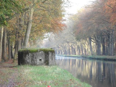 16_campinatocht-dessel.jpg