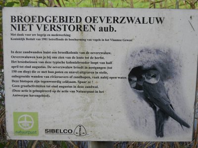 43_campinatocht-dessel.jpg