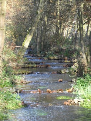 68_campinatocht-dessel.jpg