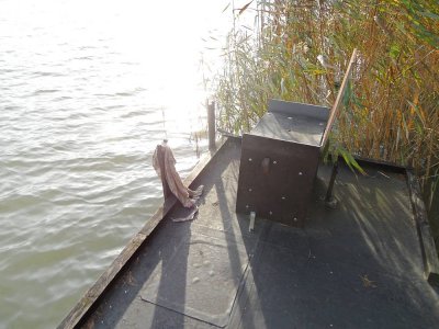 80_campinatocht-dessel.jpg