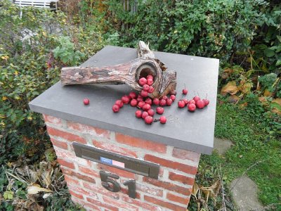 86_campinatocht-dessel.jpg